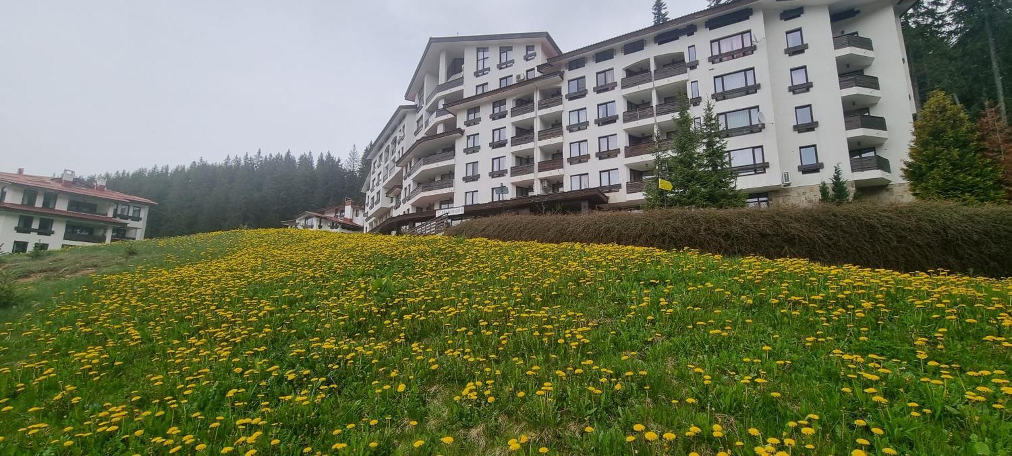 Elit Pamporovo Accommodation Exteriér fotografie