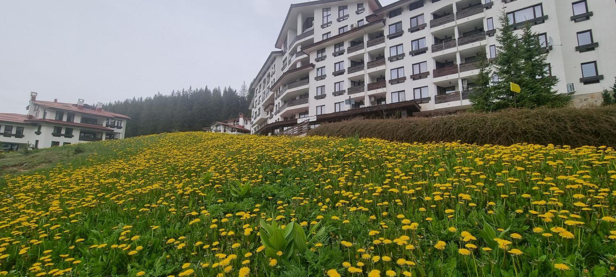 Elit Pamporovo Accommodation Exteriér fotografie
